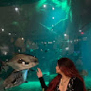 Meet your Posher, Adiba